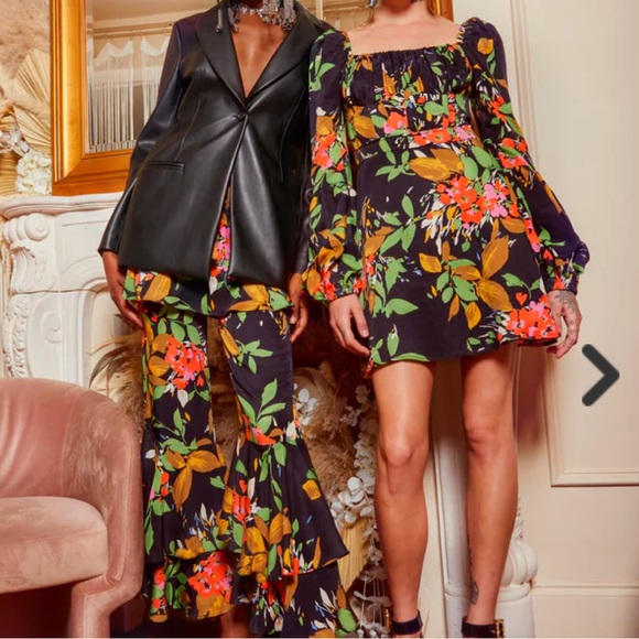 Autumn Adeigbo Catira Dress BCK Floral NWT Size 6 - Picture 5 of 12